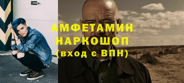 хмурый Ельня
