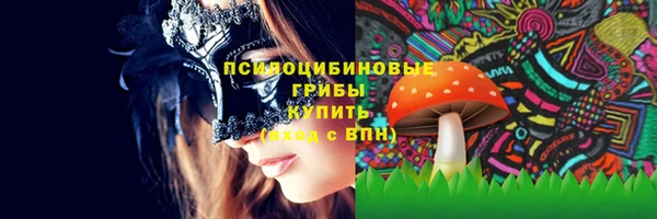 гашик Елизово