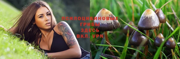 кристаллы Елабуга