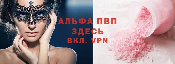 хмурый Ельня