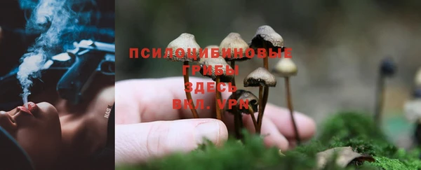 кристаллы Елабуга