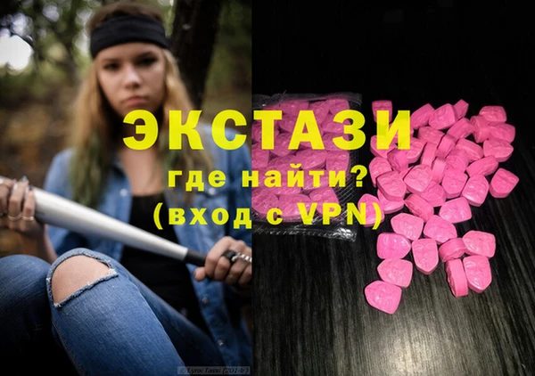 хмурый Ельня