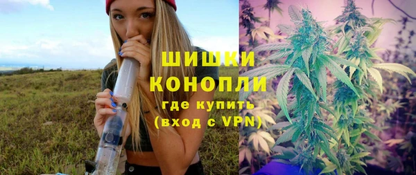гашик Елизово