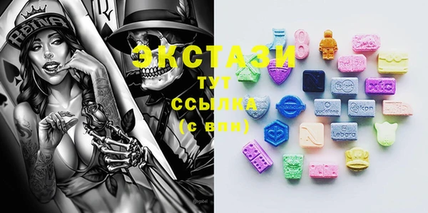 гашик Елизово