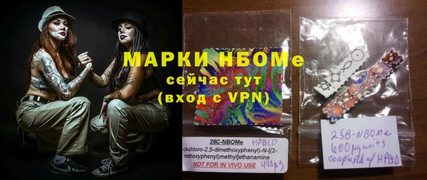 гашик Елизово