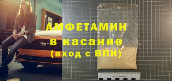 хмурый Ельня