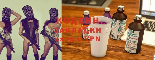 хмурый Ельня