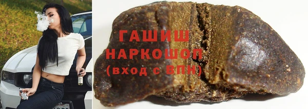 хмурый Ельня